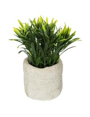 160067 - herbe pot cim itomi h14 D. 12 x H. 16 cm