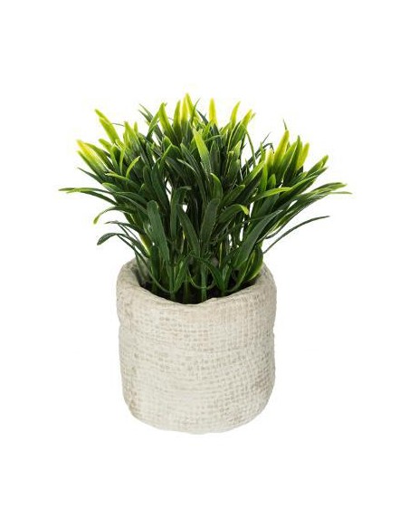 160067 - herbe pot cim itomi h14 D. 12 x H. 16 cm