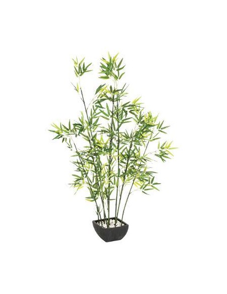 109592 - bambou pot crmq yori nr h122