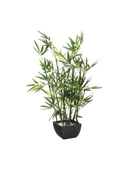 109591 - bambou pot crmq yori nr h70 L. 43 x P. 34 x H. 67 cm