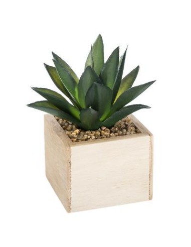 160066 - plante g pot nat hito h14 D. 11 x H. 15 cm