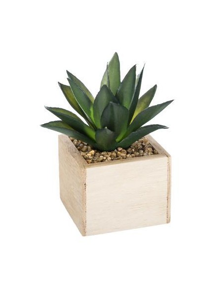 160066 - plante g pot nat hito h14 D. 11 x H. 15 cm