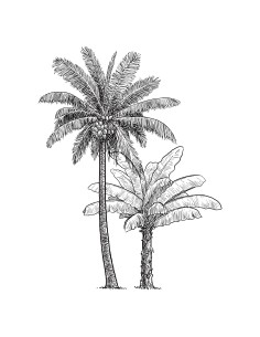 sticker plat palmier 101x134