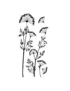 182008-sticker plat mind 80x170