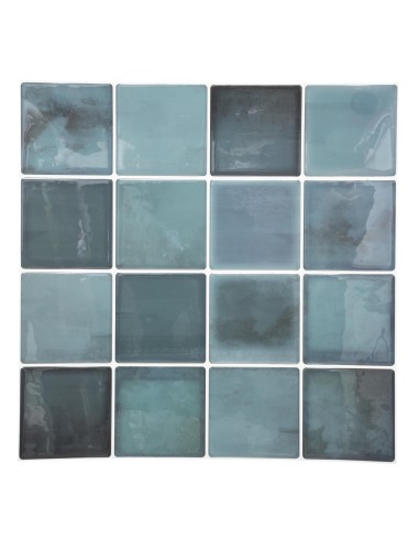 182001a-sticker caro 16 bl 30x30 x2