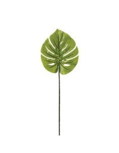 116495 - tige monstera virtuve h90