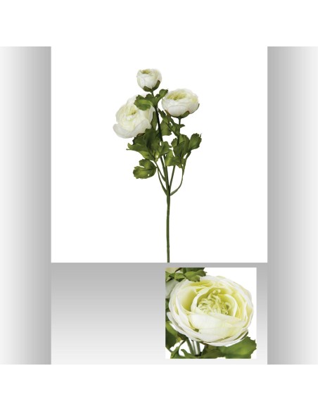 110355 - tige renoncule blanc h60