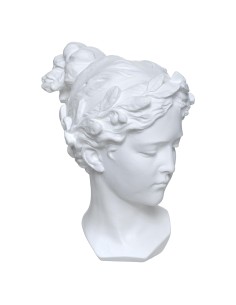 178773 - tete venus rsn h26