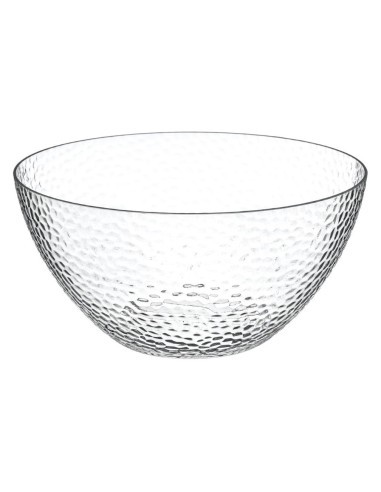 125320 - saladier 25,5cm transp estiva