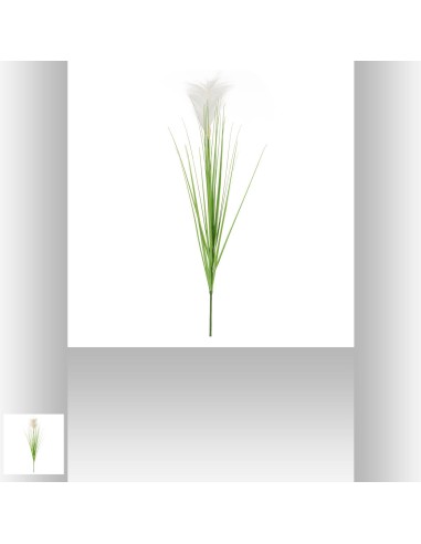 167205 - tige plumeau vanda h100