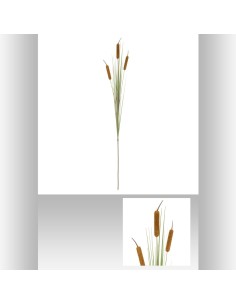 167206 - tige roseau beatrice h100