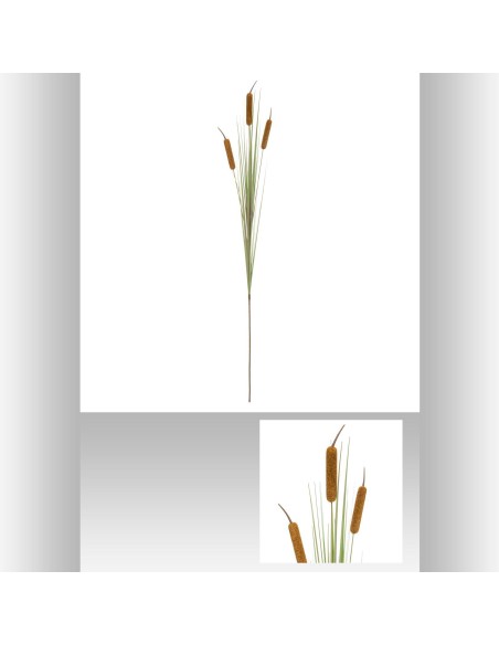 167206 - tige roseau beatrice h100