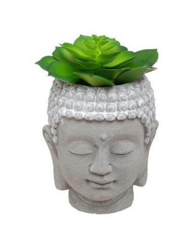 167310 - plante g bouddh cim via h9 dis D. 9 x H. 12,5 cm