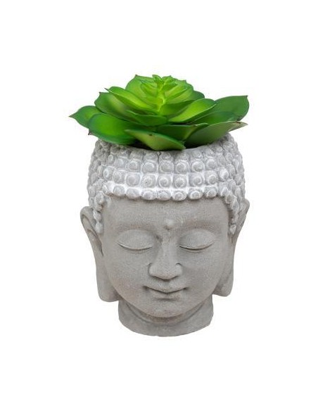 167310 - plante g bouddh cim via h9 dis D. 9 x H. 12,5 cm