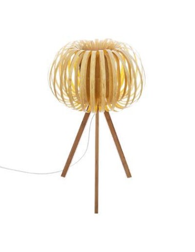 167626 _ lpe trep sien nat h55