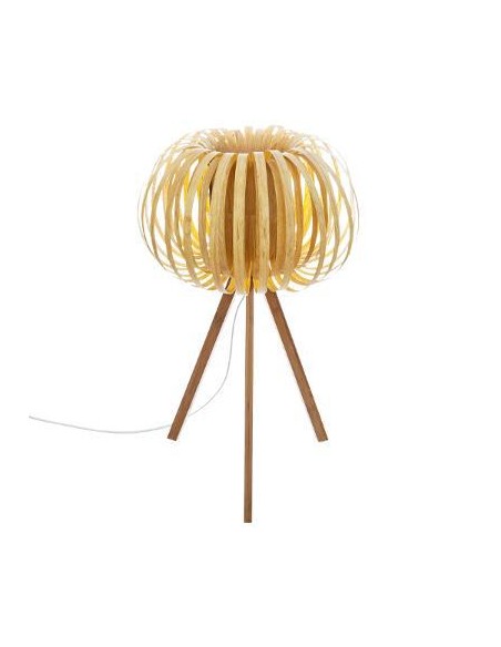 167626 _ lpe trep sien nat h55