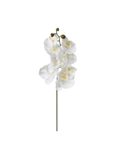 121517 - tige orchidee phala blc h108