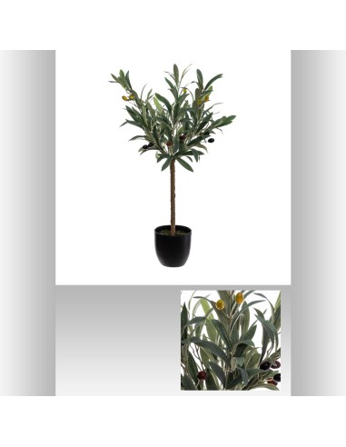 olivier pot noir h60