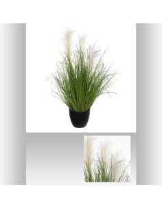 168665 - bunch herbe pot pl afy h70 D. 65 x H. 70 cm