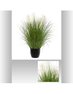168667 - bunch herbe pot plast h105