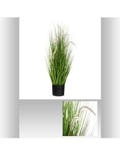 173056 - bunch herbe pot pl moma h100 D. 45 x H. 100 cm