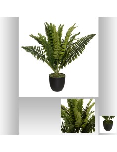 fougere boston pot plast h30