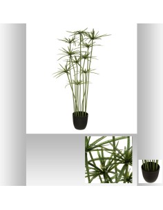 181490 - papyrus h120