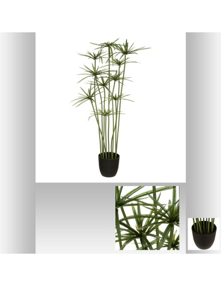 181490 - papyrus h120