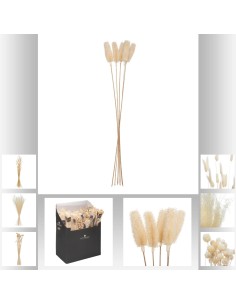 168679 - tige nat lilo blc ass h120 dis