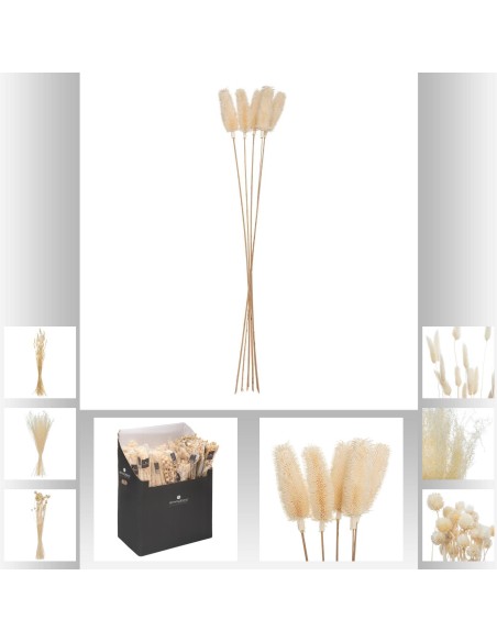 168679 - tige nat lilo blc ass h120 dis