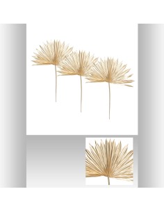 181479 - tige nat x3 palm suite or h56