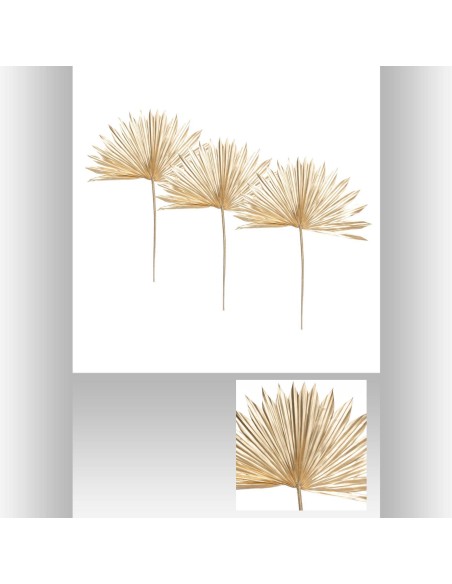 181479 - tige nat x3 palm suite or h56