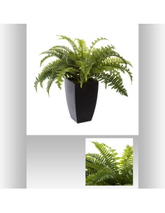 167290 - fougere pot pl papare h55 L. 65 x P. 65 x H. 55 cm