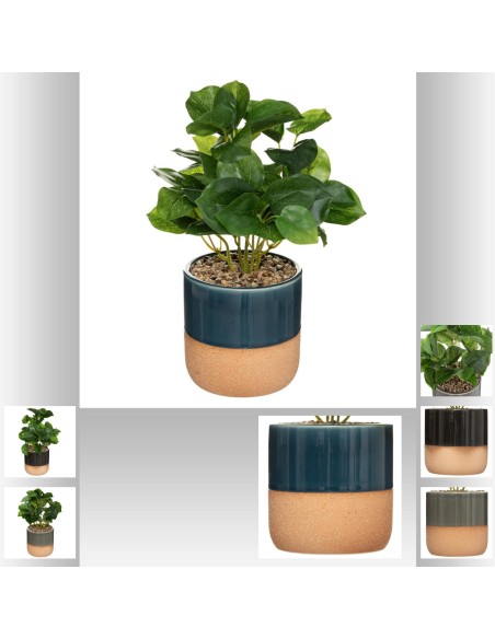 173015-plante pot reactive