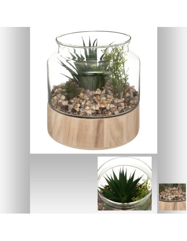 173060 - terrarium plante bois kejo h18