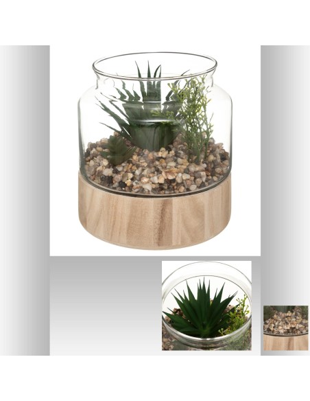 173060 - terrarium plante bois kejo h18