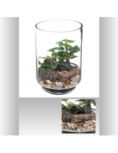 terrarium bonsai h19