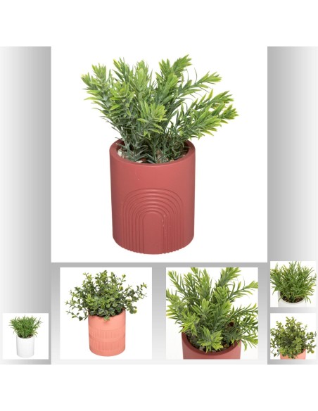 plante pot crmq bloom h18