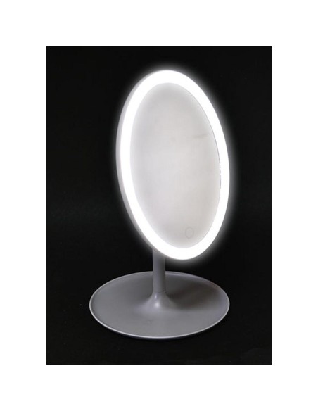 miroir ps oval a led sur pied - gris