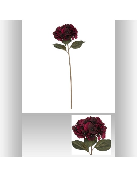 130813c - tige hortensia serata rub h83