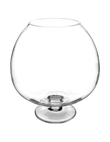 124235 - coupe s/pied vr reda h32