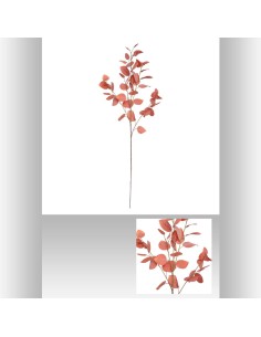 164263b-tige eucalyptus rose h92