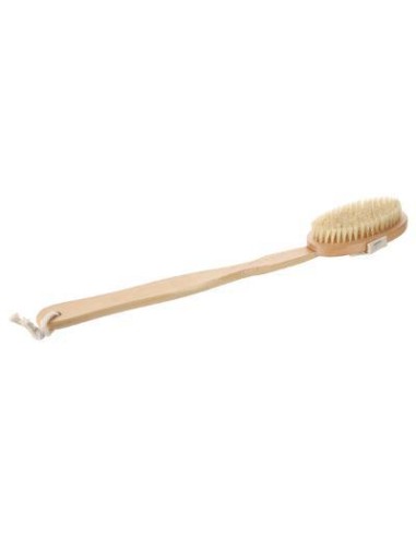123401 - brosse dos manche detach bois