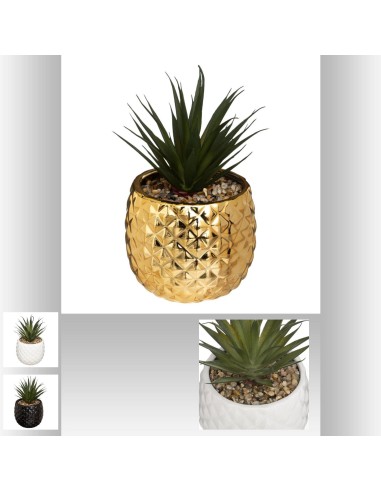 167313 - plante pot ananas nani h21 D. 13 x H. 19 cm