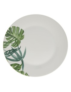154397 - ass plate tropica d27