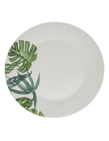 154397 - ass plate tropica d27
