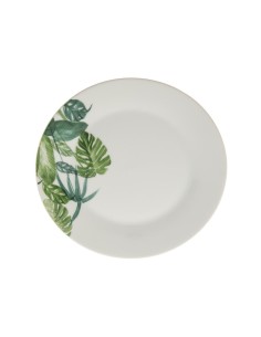 154399 - ass dess tropica d19