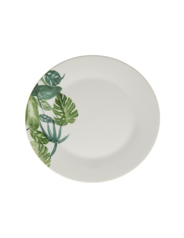 154399 - ass dess tropica d19