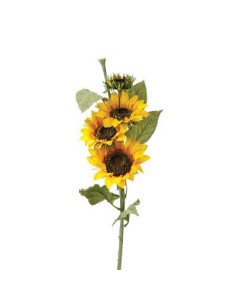 110350 - tige tournesol h80