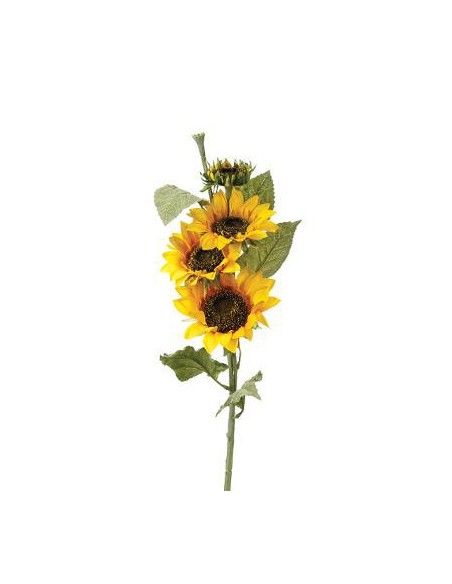 110350 - tige tournesol h80